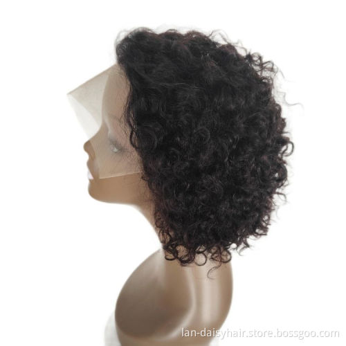 Wholesale wigs 100% human hair 10a Indian hair 13*1 Afro kinky curly lace front wig For Black Women